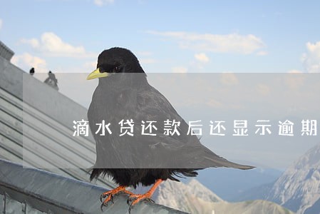 滴水贷还款后还显示逾期怎么办 滴水贷还款后还显示逾期怎么办