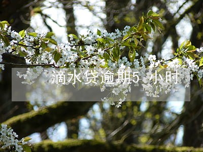 滴水贷逾期5小时