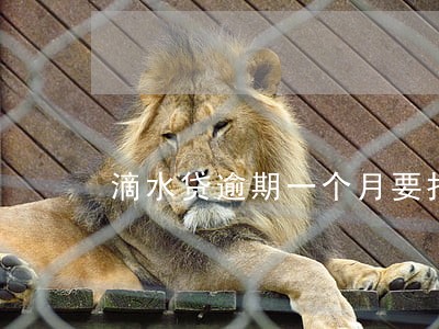 滴水贷逾期一个月要打通讯录 滴水贷逾期一个月要打通讯录