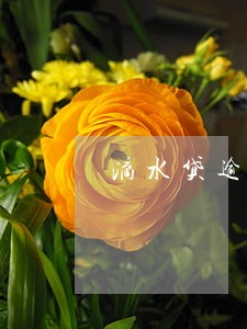 滴水贷逾期一天关闭还款通道 滴水贷逾期一天关闭还款通道