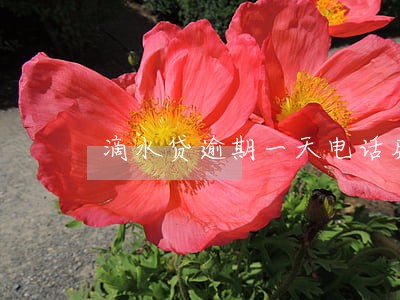 滴水贷逾期一天电话威胁算违法吗 滴水贷逾期一天电话威胁算违法吗