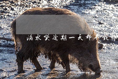 滴水贷逾期一天都不能协商吗 滴水贷逾期一天都不能协商吗