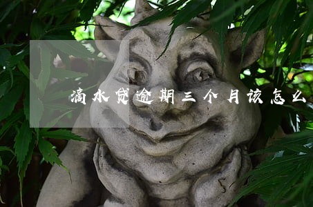 滴水贷逾期三个月该怎么办 滴水贷逾期三个月该怎么办