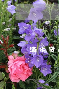 滴水贷逾期两天 滴水贷逾期两天