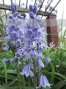 滴水贷逾期两天发短信了 滴水贷逾期两天发短信了