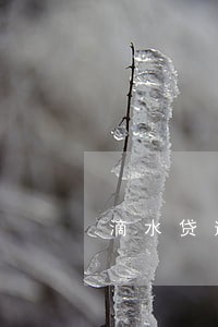 滴水贷逾期两天有什么影响 滴水贷逾期两天有什么影响