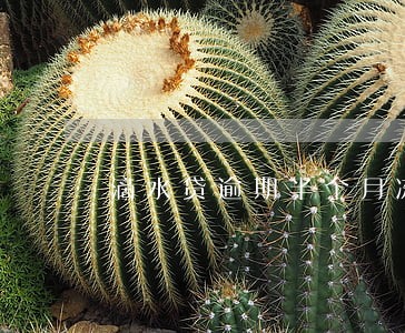 滴水贷逾期半个月冻结房产 滴水贷逾期半个月冻结房产