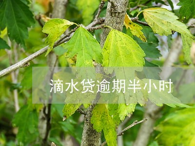 滴水贷逾期半小时