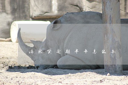 滴水贷逾期半年怎么办 滴水贷逾期半年怎么办