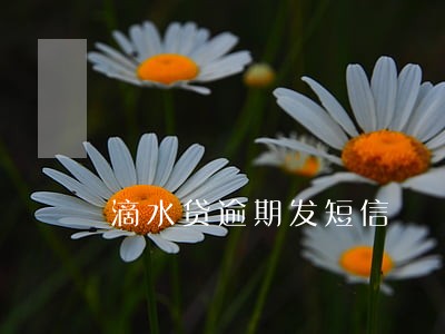 滴水贷逾期发短信