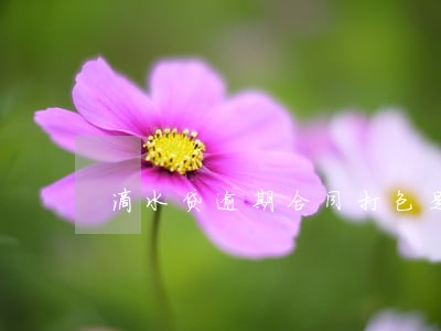 滴水贷逾期合同打包是什么意思