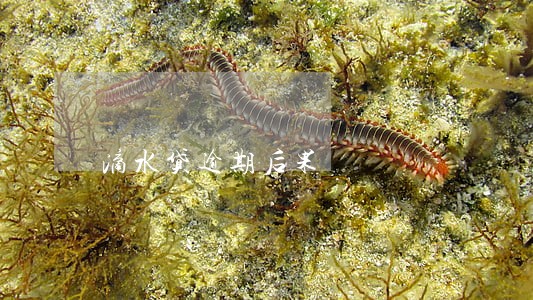 滴水贷逾期后果 滴水贷逾期后果