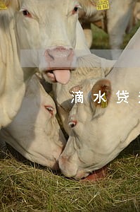 滴水贷逾期告知要上门 滴水贷逾期告知要上门