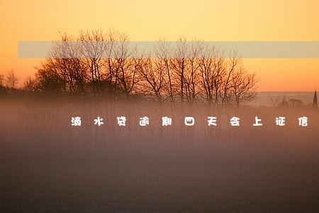 滴水贷逾期四天会上征信吗 滴水贷逾期四天会上征信吗