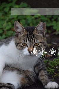 滴水贷逾期多久上诉 滴水贷逾期多久上诉