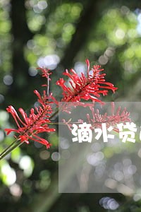 滴水贷逾期多久会联系联系人吗 滴水贷逾期多久会联系联系人吗