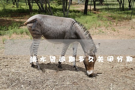 滴水贷逾期多久关闭分期 滴水贷逾期多久关闭分期