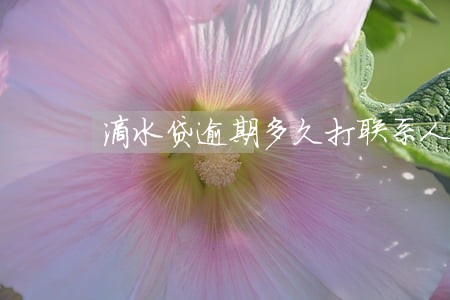 滴水贷逾期多久打联系人 滴水贷逾期多久打联系人