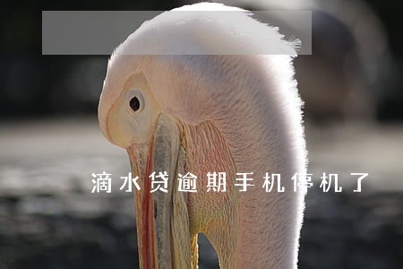 滴水贷逾期手机停机了 滴水贷逾期手机停机了
