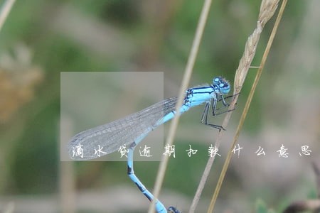 滴水贷逾期扣款什么意思 滴水贷逾期扣款什么意思