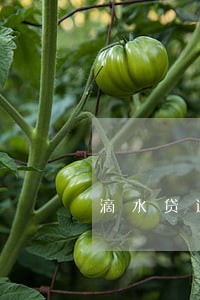 滴水贷逾期找谁协商 滴水贷逾期找谁协商