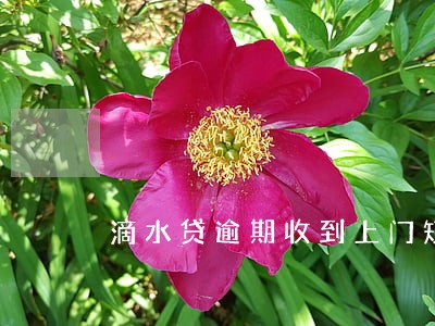滴水贷逾期收到上门短信 滴水贷逾期收到上门短信
