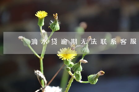 滴水贷逾期无法联系客服