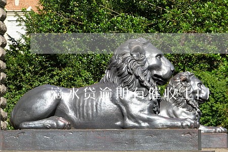 滴水贷逾期有催收上门 滴水贷逾期有催收上门