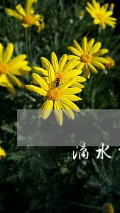 滴水贷逾期电话催收 滴水贷逾期电话催收