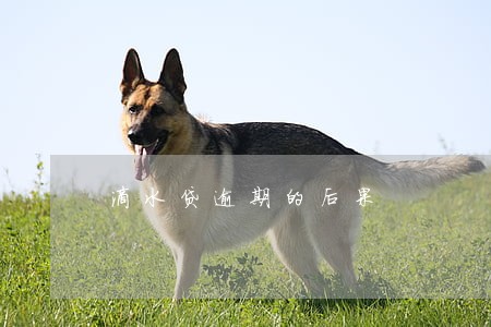 滴水贷逾期的后果 滴水贷逾期的后果