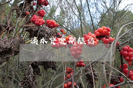 滴水贷逾期短信 滴水贷逾期短信