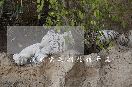 滴水贷逾期短信开庭 滴水贷逾期短信开庭