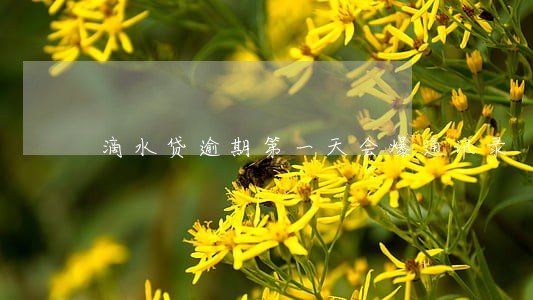 滴水贷逾期第一天会爆通讯录 滴水贷逾期第一天会爆通讯录