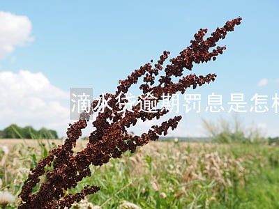 滴水贷逾期罚息是怎样的 滴水贷逾期罚息是怎样的