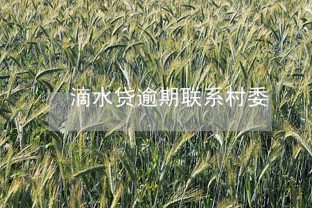 滴水贷逾期联系村委