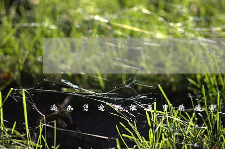 滴水贷逾期能否申请延期 滴水贷逾期能否申请延期