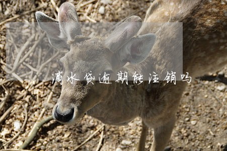 滴水贷逾期能注销吗 滴水贷逾期能注销吗