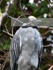 滴水贷逾期解除三方紧急联系人