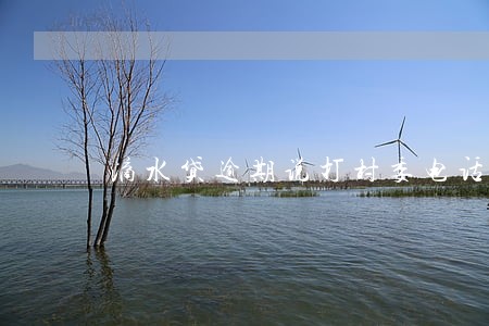 滴水贷逾期说打村委电话