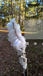 滴水金融逾期后果严重吗