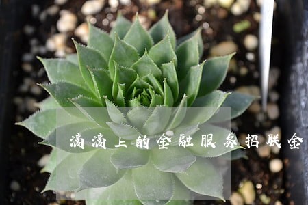 滴滴上的金融服务招联金融逾期了