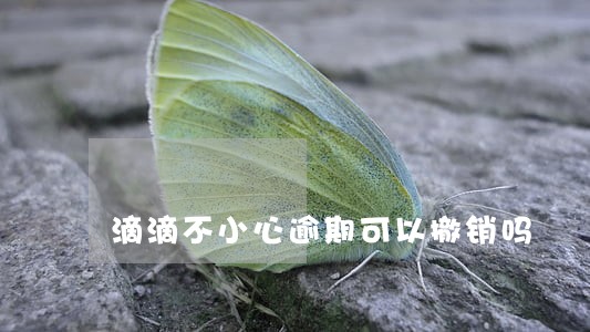 滴滴不小心逾期可以撤销吗 滴滴不小心逾期可以撤销吗