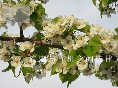 滴滴与司机之间法律关系 滴滴与司机之间法律关系