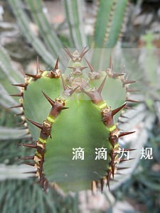 滴滴为规避法律责任