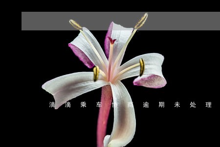 滴滴乘车协商逾期未处理怎么办