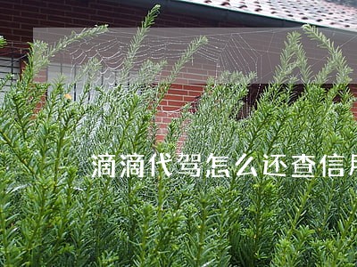 滴滴代驾怎么还查信用卡逾期 滴滴代驾怎么还查信用卡逾期