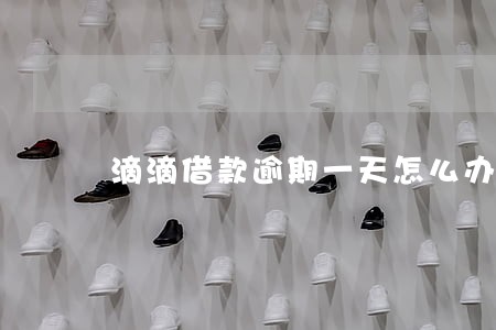 滴滴借款逾期一天怎么办 滴滴借款逾期一天怎么办