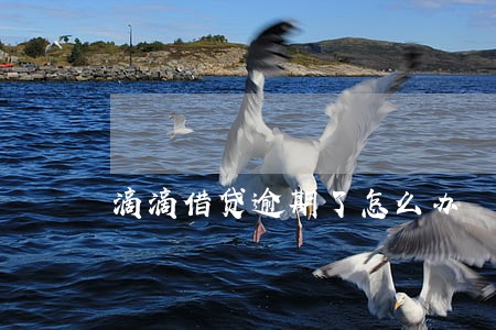 滴滴借贷逾期了怎么办 滴滴借贷逾期了怎么办