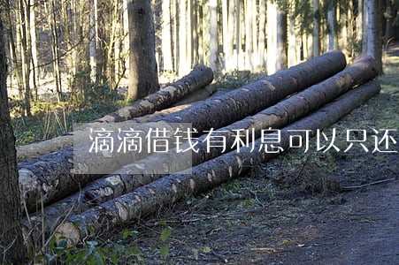 滴滴借钱有利息可以只还本金吗 滴滴借钱有利息可以只还本金吗