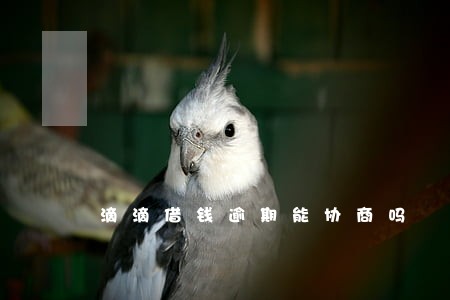 滴滴借钱逾期能协商吗 滴滴借钱逾期能协商吗